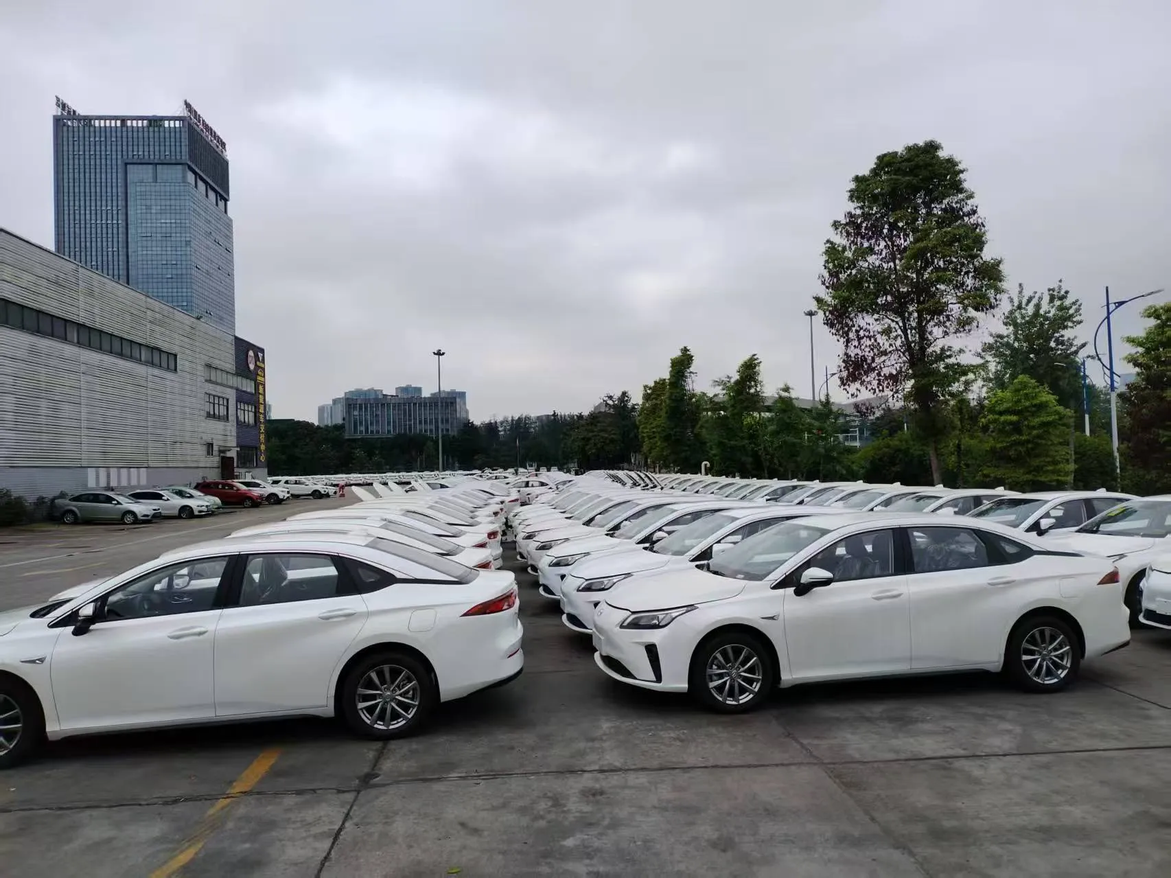 Массивный поставщик источника подержанного автомобиля