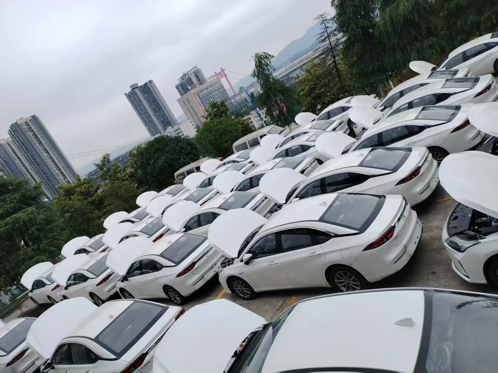 Massive used car source supplier